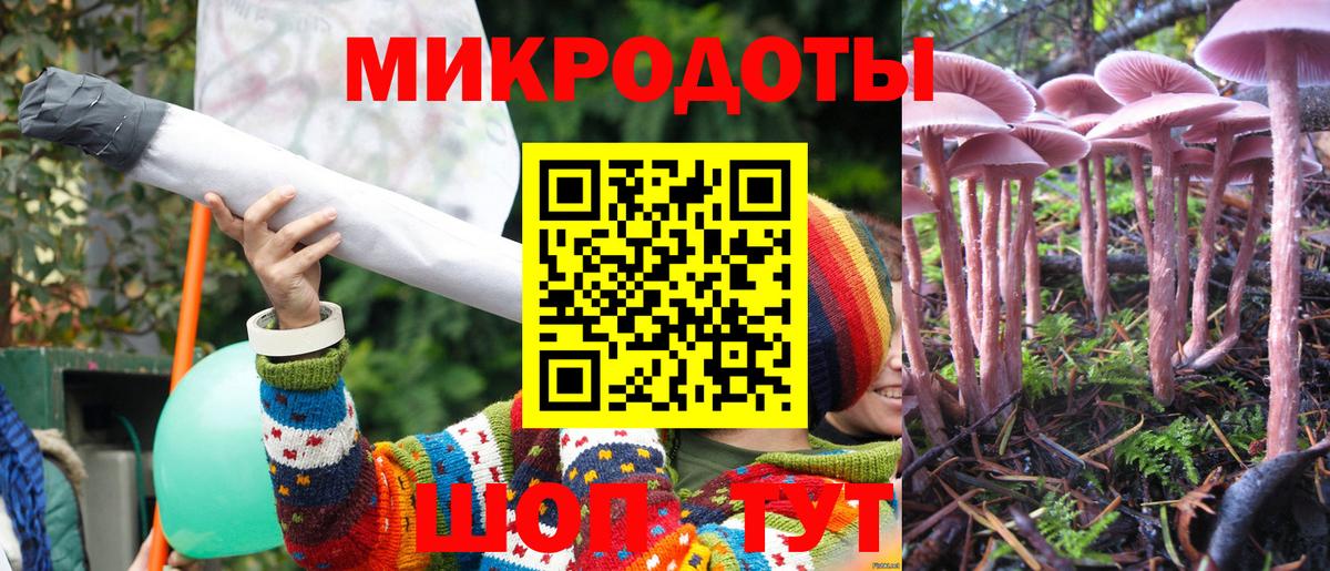 закладки  Вход с VPN  Галлюциногенные грибы MAGIC MUSHROOMS  Краснокаменск  Псилоцибиновые грибы GOLDEN TEACHER 