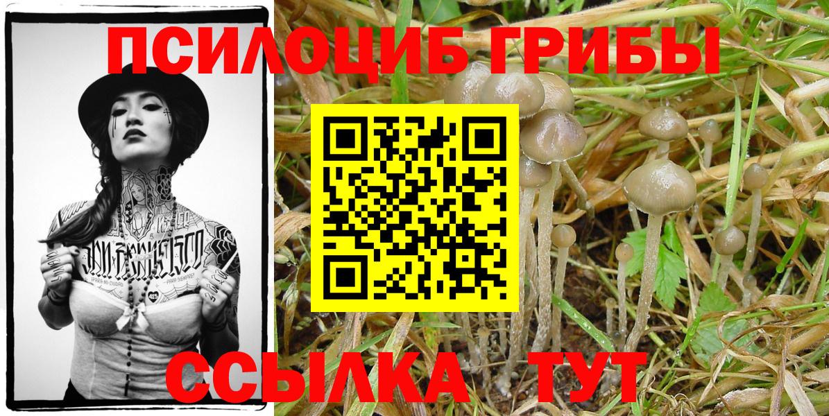 Псилоцибиновые грибы Magic Shrooms Краснокаменск